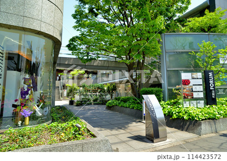 東京渋谷区　新緑の代官山T-SITE付近の風景 114423572