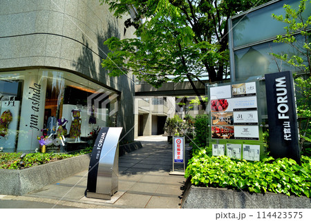 東京渋谷区 新緑の代官山T-SITE付近の風景 東京渋谷区 新緑の代官山T-SITE付近の風景 114423575