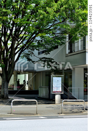 東京渋谷区 新緑の代官山T-SITE付近の風景 東京渋谷区 新緑の代官山T-SITE付近の風景 114423591