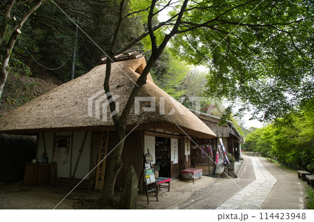 とがの木茶屋(熊野古道) 【和歌山県田辺市中辺路町】 とがの木茶屋(熊野古道) 【和歌山県田辺市中辺路町】 114423948