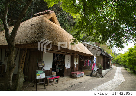 とがの木茶屋(熊野古道) 【和歌山県田辺市中辺路町】 とがの木茶屋(熊野古道) 【和歌山県田辺市中辺路町】 114423950
