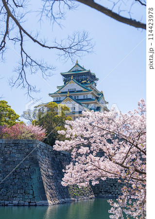 【桜】春の大阪城公園【大阪城天守閣】 114423978