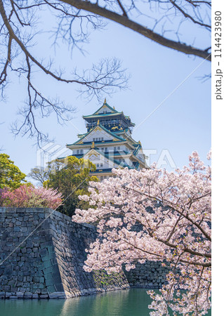 【桜】春の大阪城公園【大阪城天守閣】 114423980