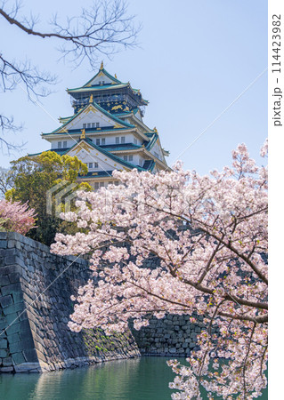 【桜】春の大阪城公園【大阪城天守閣】 114423982