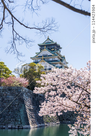 【桜】春の大阪城公園【大阪城天守閣】 114423984