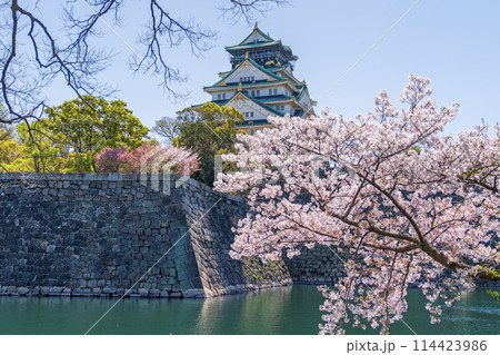 【桜】春の大阪城公園【大阪城天守閣】 114423986