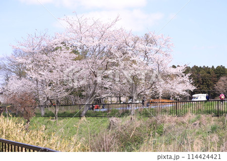 春が来た富田さとにわ耕園 春が来た富田さとにわ耕園 114424421