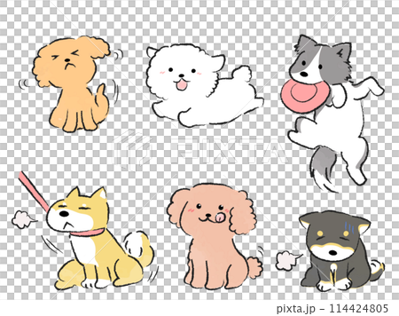 生活する犬のイラストセット 114424805
