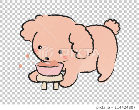 吃狗糧的玩具貴賓犬2 114424807