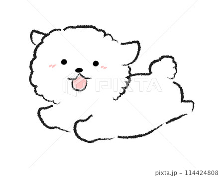 走る犬のイラスト　ビション・フリーゼ 114424808