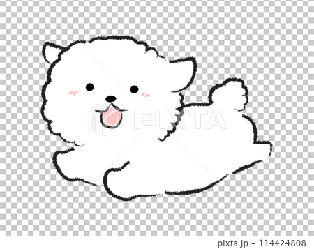 走る犬のイラスト　ビション・フリーゼ 114424808