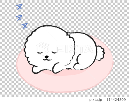 一隻狗睡在床上的插畫比熊犬 114424809