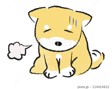 お座りをして落ち込む柴犬 114424812
