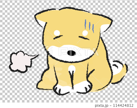 お座りをして落ち込む柴犬 114424812