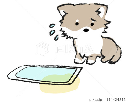 トイレを失敗し反省する犬　チワワ 114424813