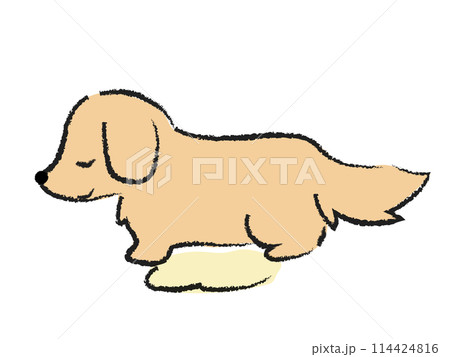 おしっこをする犬　ダックス 114424816