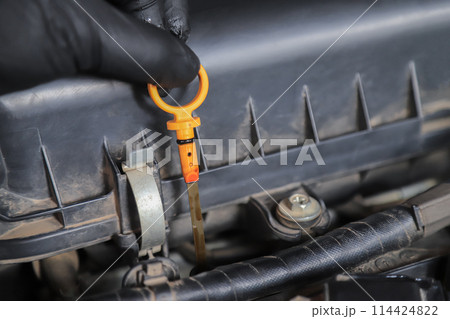 Mechanic hand checking engine oil quality in using car of long daily life Mechanic hand checking engine oil quality in using car of long daily life 114424822