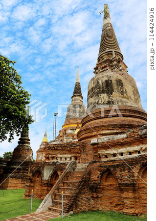 タイ アユタヤ ワット・ヤイチャイ・モンコン タイ アユタヤ ワット・ヤイチャイ・モンコン 114424916