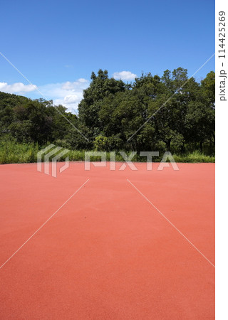 吉野ヶ里　赤い道 114425269