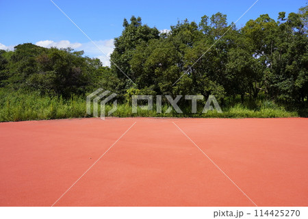 吉野ヶ里　赤い道 114425270