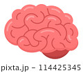 pink brain flat design isolated 114425345