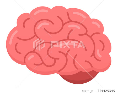 pink brain flat design isolated 114425345
