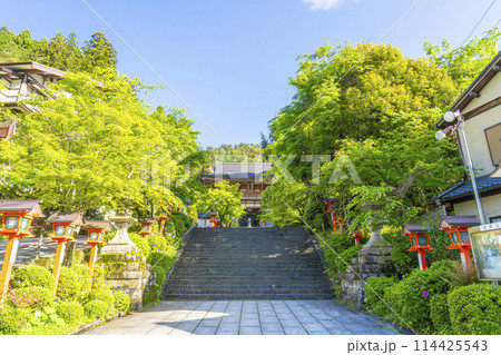 新緑の京都　鞍馬寺　仁王門 114425543