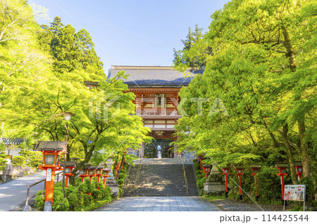 新緑の京都　鞍馬寺　仁王門 114425544