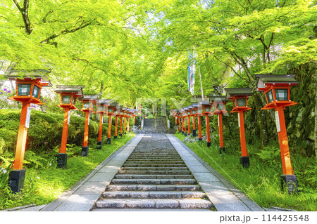 新緑の京都 鞍馬寺 九十九折り参道 石段と灯篭 新緑の京都 鞍馬寺 九十九折り参道 石段と灯篭 114425548