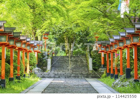 新緑の京都 鞍馬寺 九十九折り参道 石段と灯篭 新緑の京都 鞍馬寺 九十九折り参道 石段と灯篭 114425550