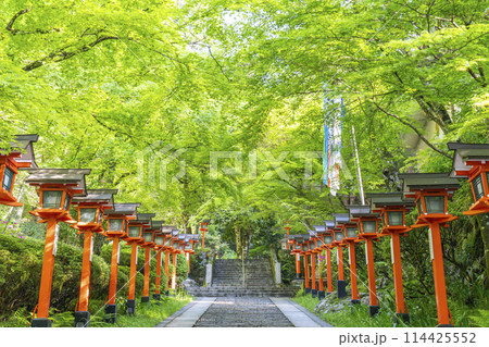 新緑の京都　鞍馬寺　九十九折り参道　石段と灯篭 114425552