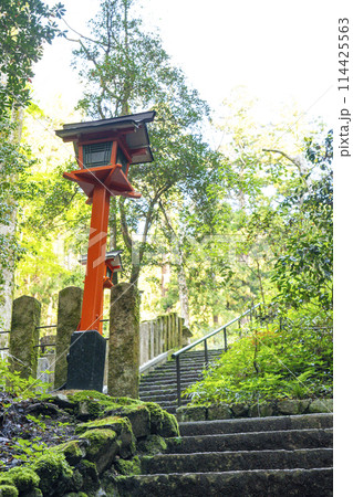 新緑の京都 鞍馬寺 九十九折り参道 新緑の京都 鞍馬寺 九十九折り参道 114425563