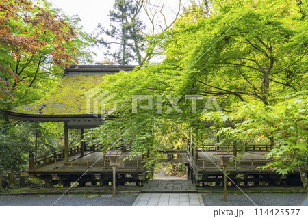鞍馬寺参道　由岐神社（靫明神）　割拝殿 114425577