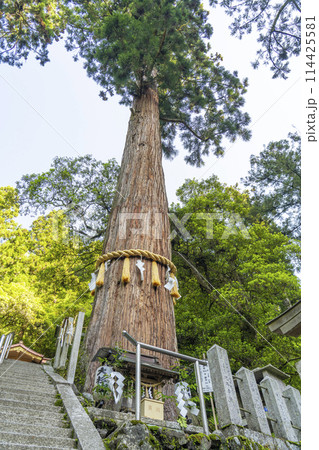 鞍馬寺参道 由岐神社(靫明神) 大杉さん 鞍馬寺参道 由岐神社(靫明神) 大杉さん 114425581