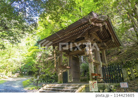 鞍馬寺　九十九折参道　中門 114425605