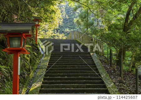 鞍馬寺 九十九折参道 石段と灯篭 鞍馬寺 九十九折参道 石段と灯篭 114425607
