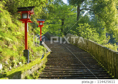 鞍馬寺　九十九折参道　石段と灯篭 114425611