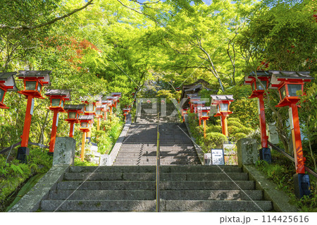 鞍馬寺 九十九折参道 石段と灯篭 鞍馬寺 九十九折参道 石段と灯篭 114425616