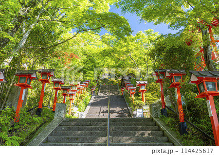 鞍馬寺 九十九折参道 石段と灯篭 鞍馬寺 九十九折参道 石段と灯篭 114425617