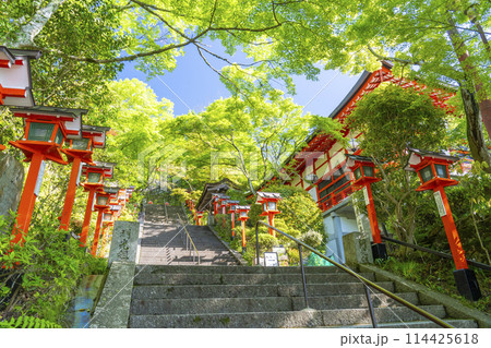 鞍馬寺　九十九折参道　石段と灯篭 114425618