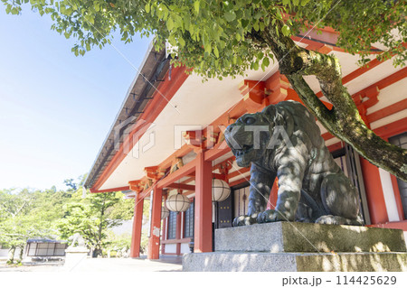 新緑の鞍馬寺　本殿金堂　阿吽の虎 114425629