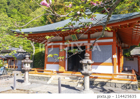 新緑の鞍馬寺　光明心殿　 114425635