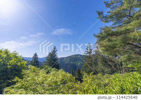 新緑の鞍馬寺から見える自然の風景 114425640
