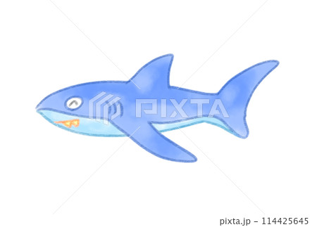 かわいいサメのイラスト 114425645