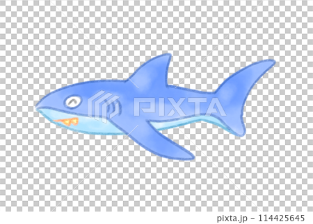 かわいいサメのイラスト 114425645