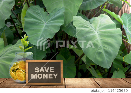 Golden dollar coins in the jar with newly grown plant seedlings above them with a small chalkboard with save money text Golden dollar coins in the jar with newly grown plant seedlings above them with a small chalkboard with save money text 114425680
