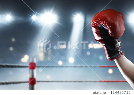 Portrait of a boxing man with a boxing glove in action 114425713