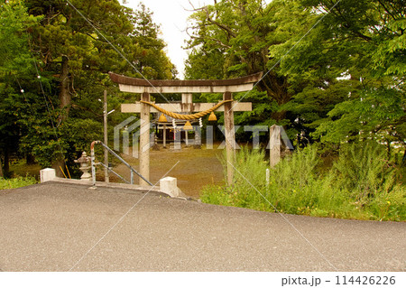 村の鎮守の森　【八幡神社】 114426226