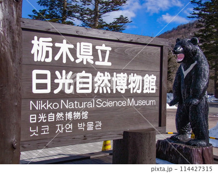 日光自然博物館の看板と熊のモニュメント 日光自然博物館の看板と熊のモニュメント 114427315