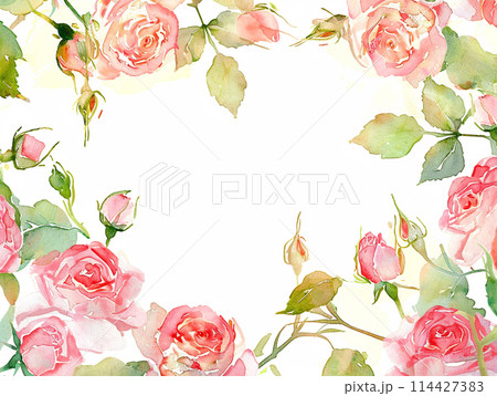 ピンクの薔薇のフレーム 114427383